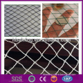 production all kinds of bird mist net